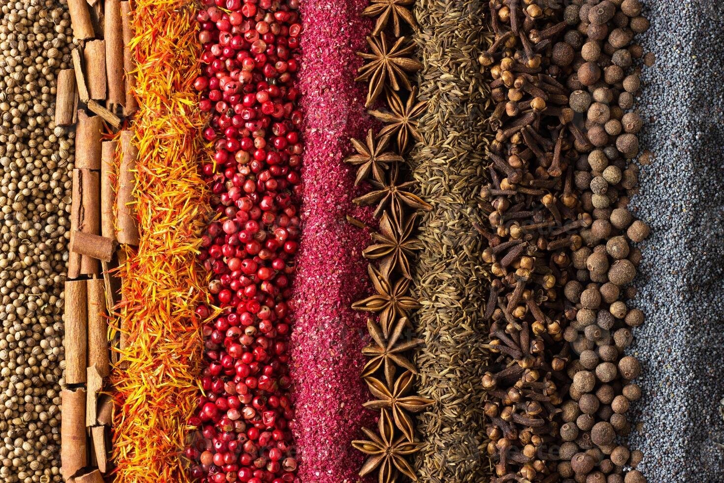 spices-and-herbs-background-different-seasonings-are-scattered-in-stripes-color-photo